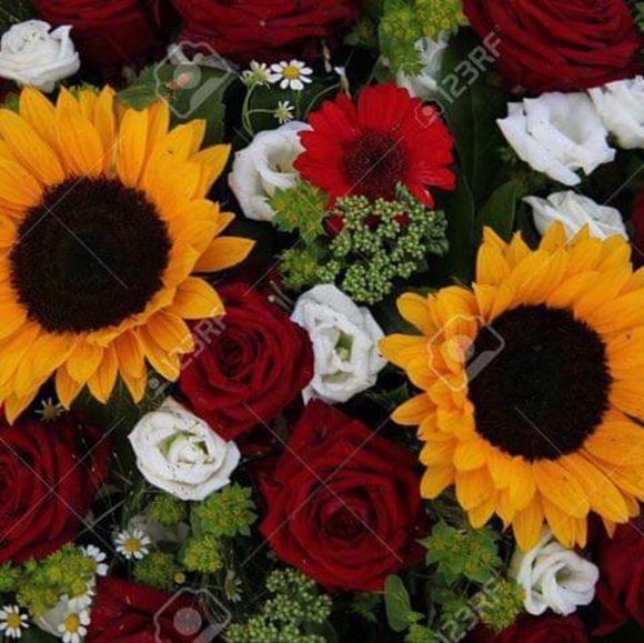 Meet your Posher, Gloria - Picture 6 of 9